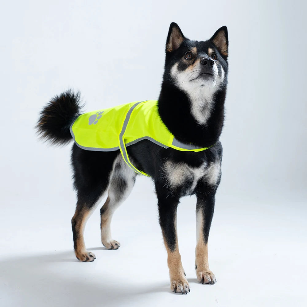 Dog Reflective and Fluorescent High Visibility Dog Jacket