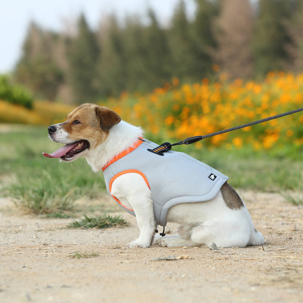 Lightweight Pet Cooling Vest for Summer for Dogs