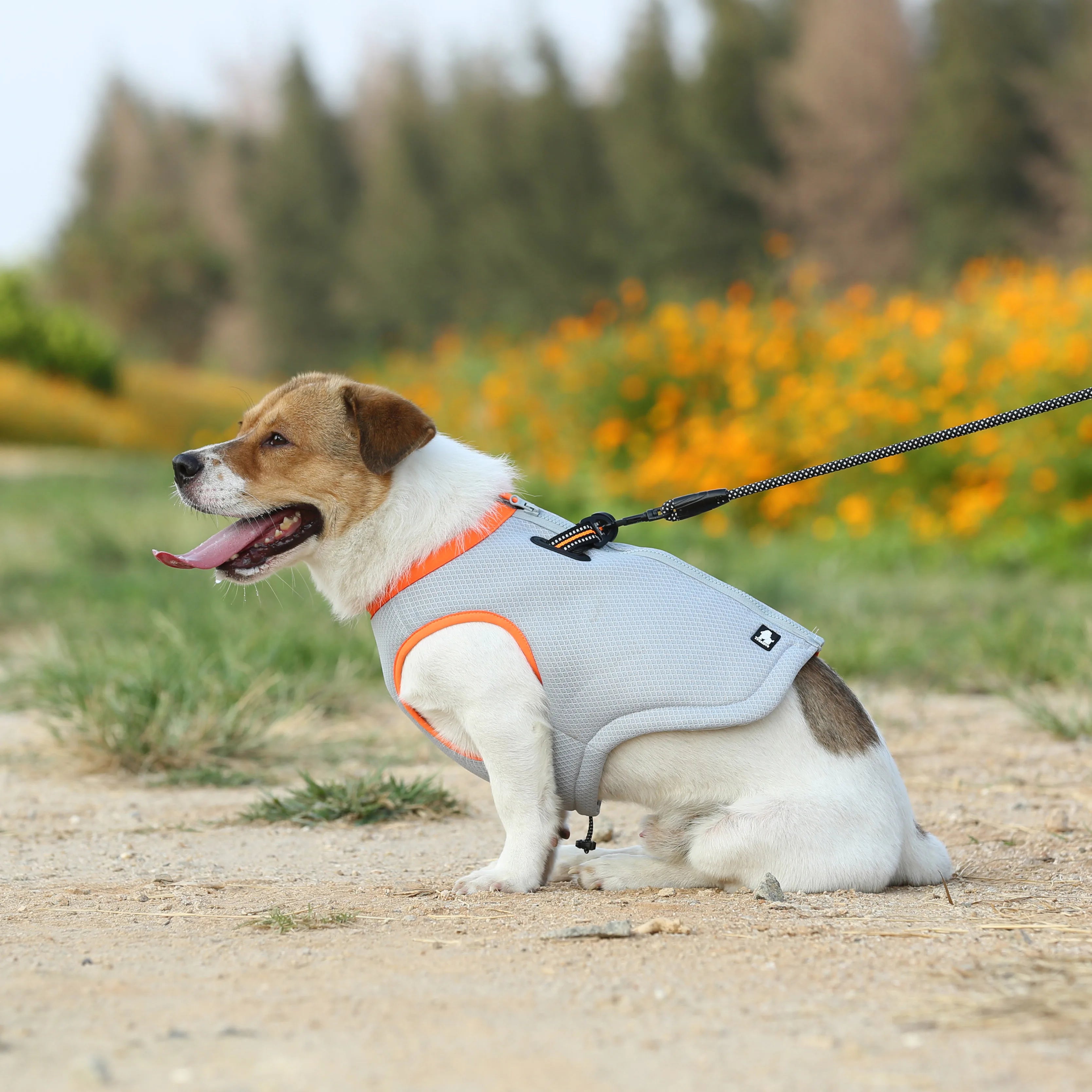 Lightweight Pet Cooling Vest for Summer for Dogs