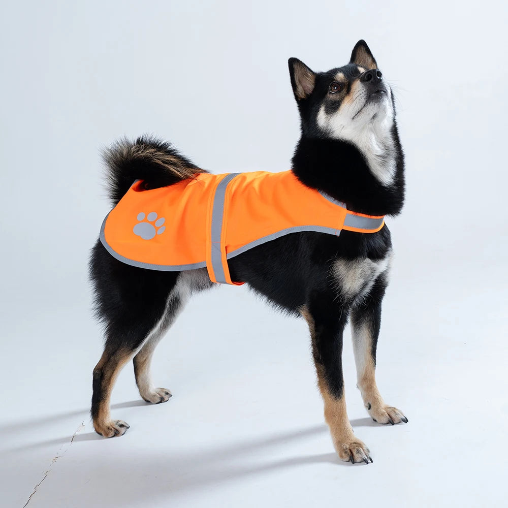 Dog Reflective and Fluorescent High Visibility Dog Jacket